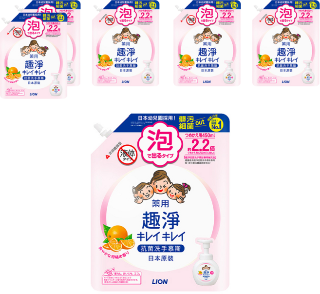 LION 獅王 趣淨 洗手慕斯 清爽柑橘香氛, 450ml, 6包