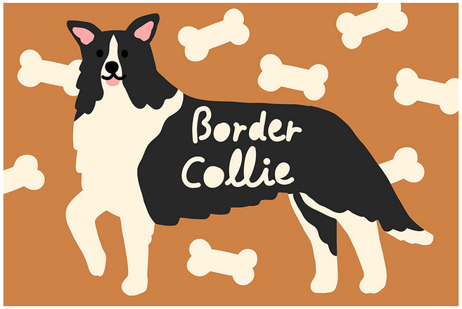 아트조이 DIY 명화그리기 10 x 15 cm, 보더콜리, 1개