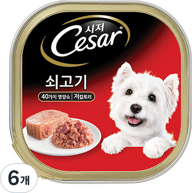 시저 1세 이상 어덜트 강아지 주식캔, 100g, 6개