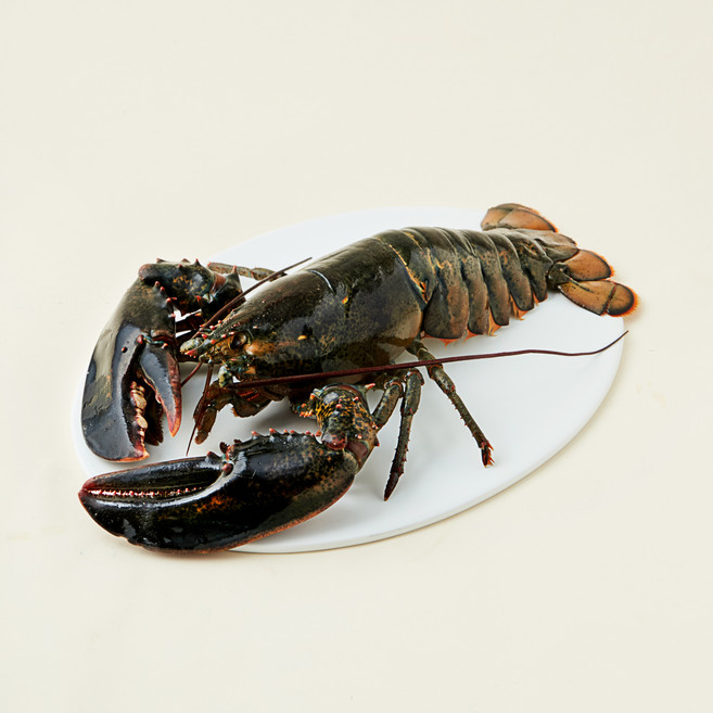 3위 - 캐나다산 활랍스터, 900g, 1개