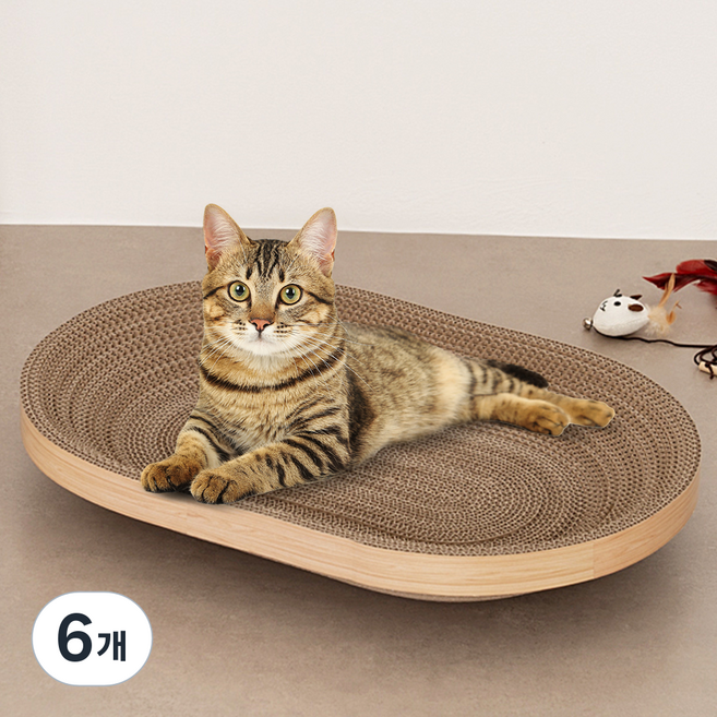코멧 펫 고양이 쇼파 스크래쳐, 타원형, 6개