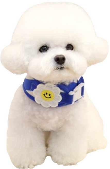 이츠독 강아지 스마일 데이지 하네스, 블루, 1개