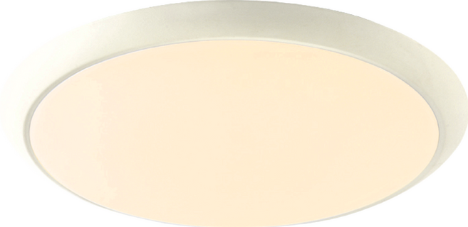 Camida 卡米達 防蚊防塵防潮吸頂燈 LED 24W 30 x 6cm, 白色