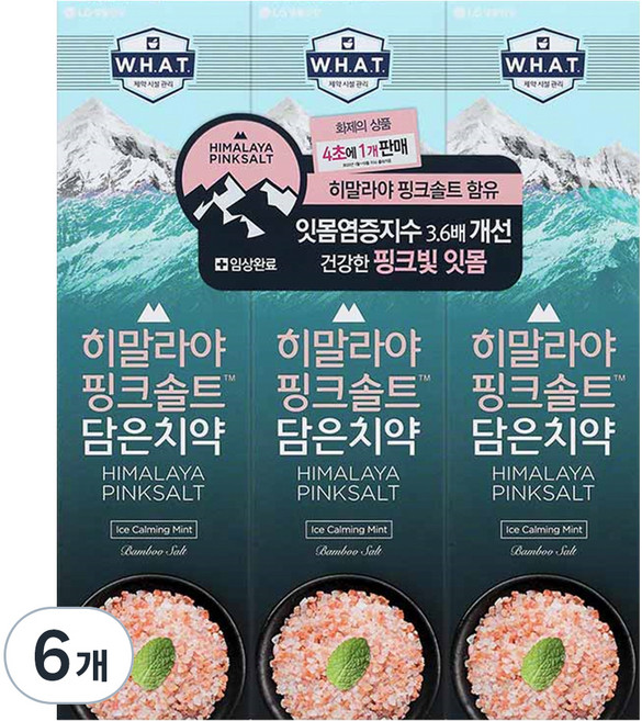 히말라야핑크솔트 담은 치약 아이스 카밍 민트, 100g, 6개