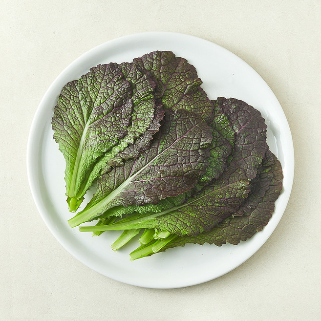 국내산 적겨자잎, 150g, 1개