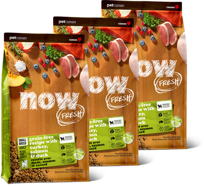 now 그레인프리 스몰브리드 어덜트 사료, 칠면조, 2kg, 3개