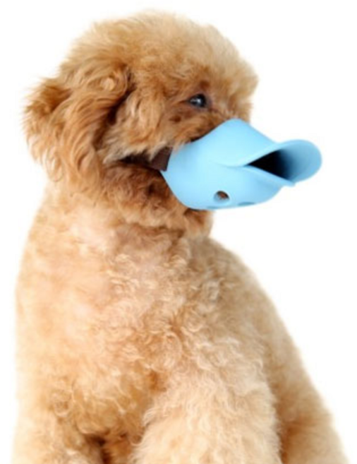 에이덕 애견 오리 입마개 S, 블루, 1개