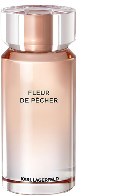 KARL LAGERFELD 卡爾 台灣公司貨 桃色時尚女性淡香精, 1件, 100ml