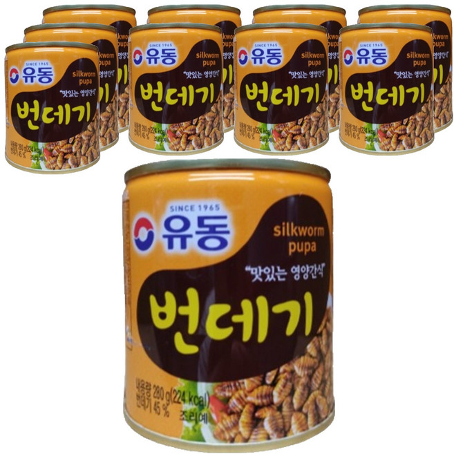 유동 번데기, 280g, 10개