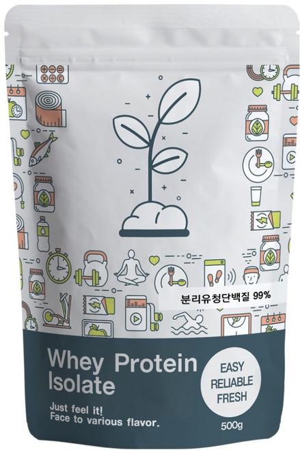 푸른빈 WPI 분리유청단백질 분말 가루, 500g, 1개