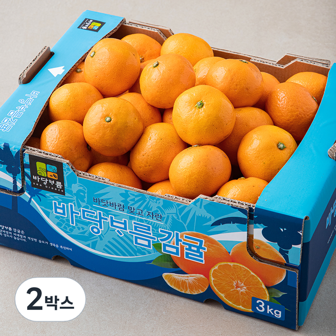 바당바름 Ai선별 당도선별 10brix 감귤 로열과, 2박스, 3kg