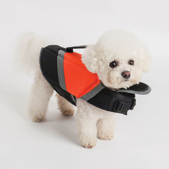 딩동펫 반려견 형광구명조끼, 오렌지, 1개