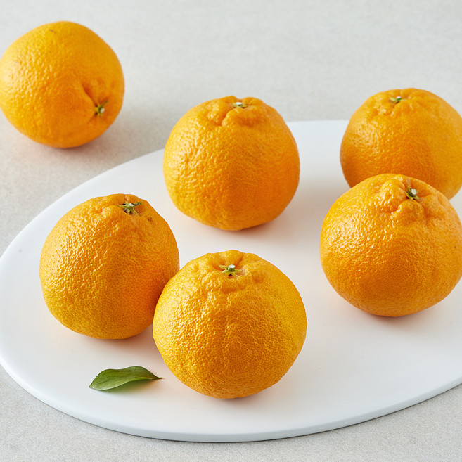 올푸릇 저탄소 한라봉, 1개, 1kg(5~6입)