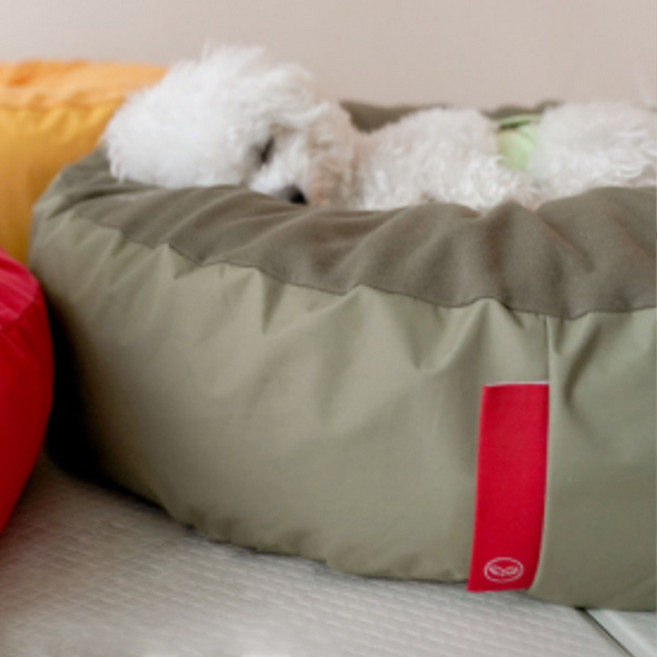 퍼피엔젤 쏘오옥 쿠션 쿨링 메모리 커버 PA-BV189, 808 Green, 1개