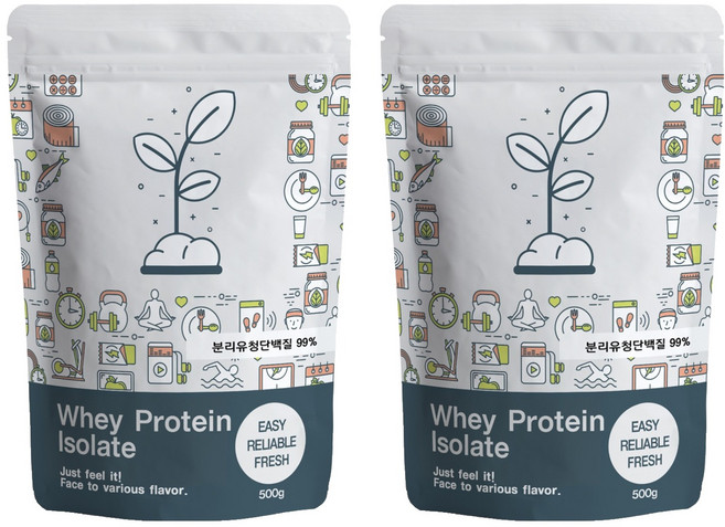 푸른빈 WPI 분리유청단백질 분말 가루, 500g, 2개