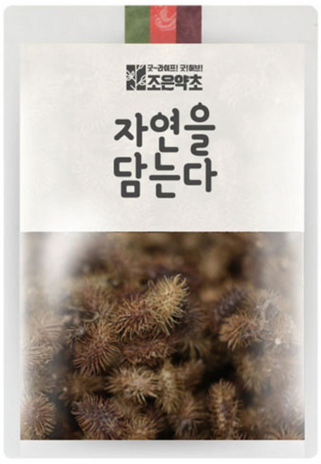 조은약초 자연을 담는다 프리미엄 창이자, 300g, 1개