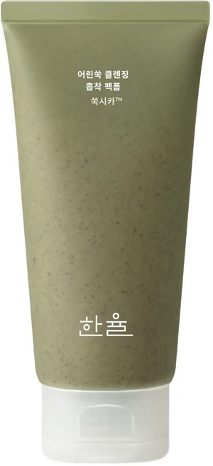 한율 어린쑥 클렌징 흡착 팩 폼, 120ml, 1개 - 쿠팡