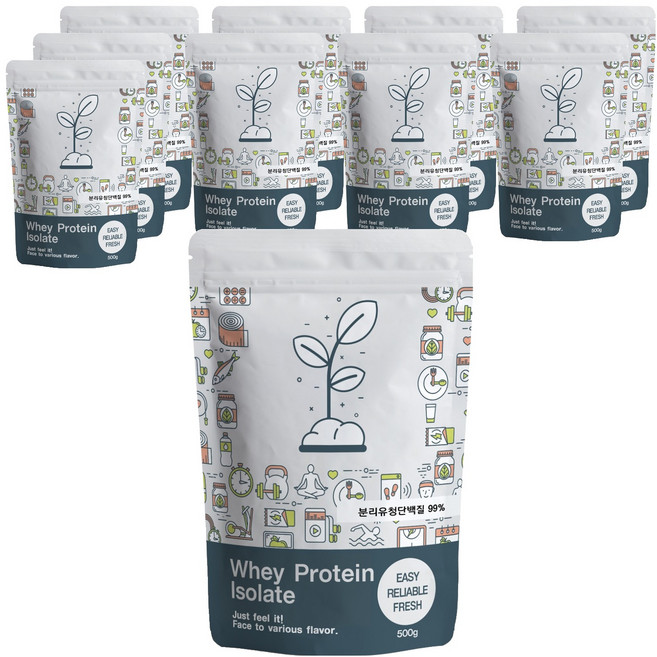 푸른빈 WPI 분리유청단백질 분말 가루, 500g, 10개