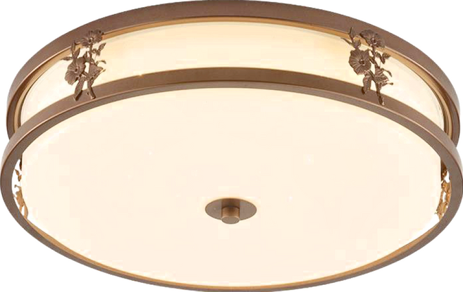 傑諾 LED 36W調色吸頂燈 CA0771 40 x 10cm 臥室燈具, 棕色
