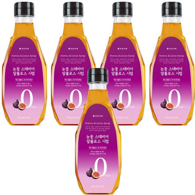 자연지애 눈꽃 스테비아 알룰로스 시럽, 540g, 5개
