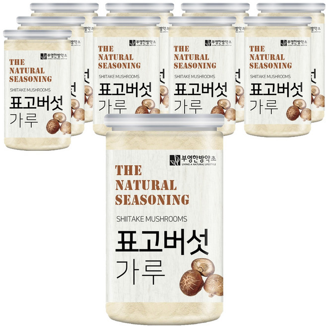 부영한방약초 표고버섯가루, 100g, 10개