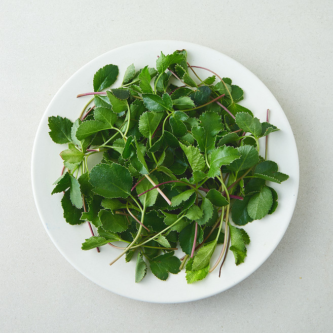 국내산 갯방풍 나물, 1개, 200g