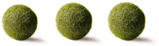 세남자바스켓 마리모 그린 중, 3개