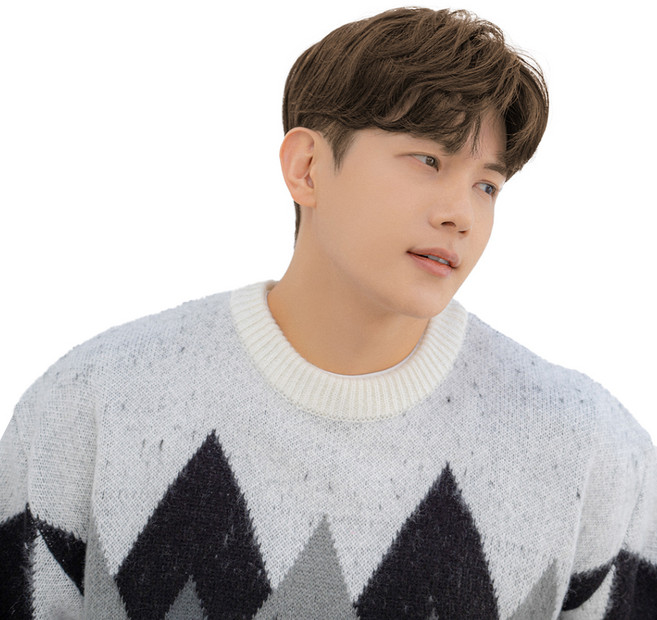 가발나라 남자 투블럭가발 아이롱가르마펌, 내츄럴브라운, 1개