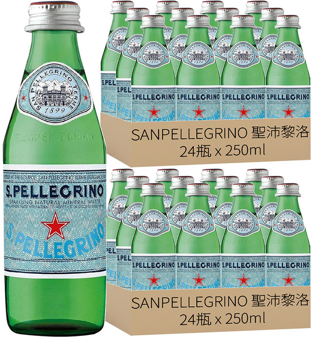 SANPELLEGRINO 聖沛黎洛 天然氣泡水, 250ml, 48瓶