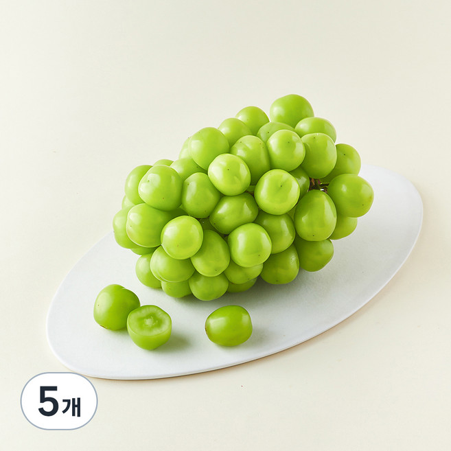 다조은 비파괴당도선별 샤인머스캣, 1kg, 5개