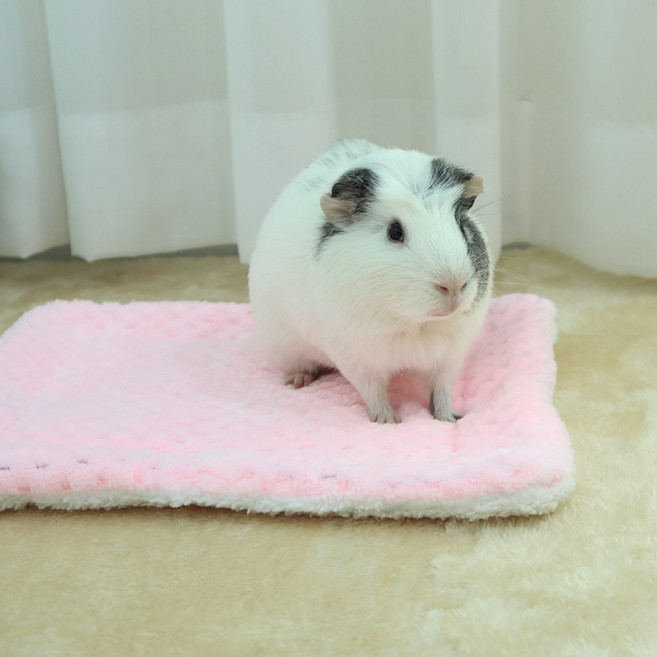 딩동펫 소동물 포그닝 도톰 매트 L, 핑크, 1개