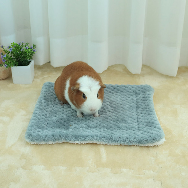 딩동펫 소동물 포그닝 도톰 매트 M, 그레이, 1개