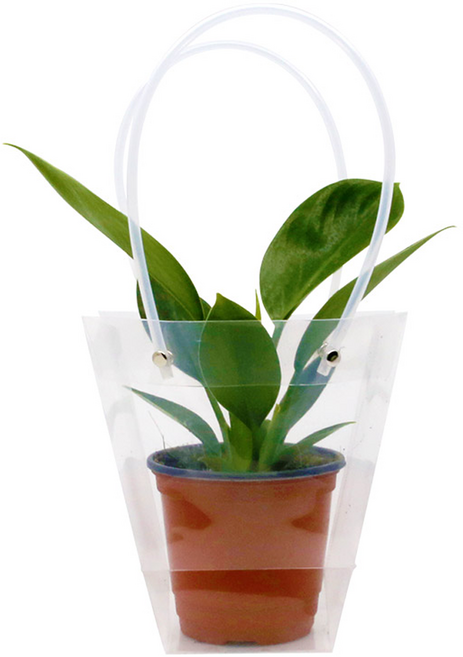 리드홈 튼튼한 꽃 화분 쇼핑백 10p, 투명, 10개