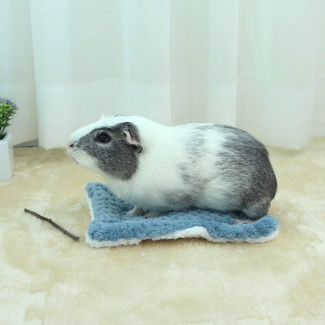 딩동펫 소동물 포그닝 도톰 매트 S, 블루, 1개