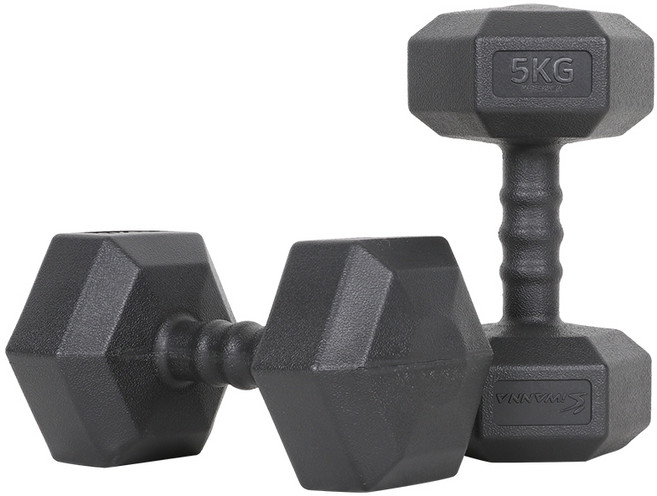 아이워너 맨즈 육각아령 블랙, 5kg, 2개
