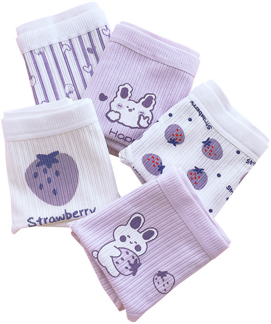 주니데이 퍼플바니 학생 팬티 5종 세트