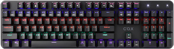 COX 축교환식 레인보우 LED 기계식 게이밍 유선 일반형 키보드, 블랙, CK420, 청축
