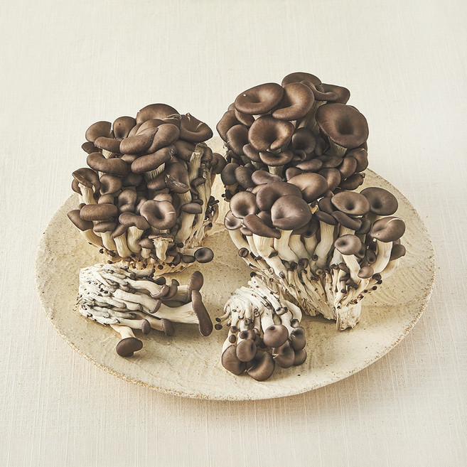 국내산 친환경 느타리버섯, 500g, 1개