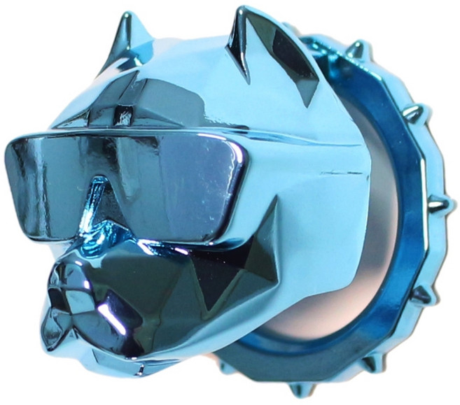 마이코지카 자동차 불독 스타트 버튼 커버, 코랄블루, 1개