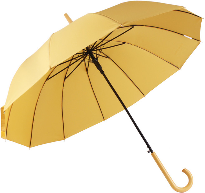 까르뱅 12살대 네이처 자동 장우산