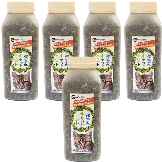 Canary 伊藤園 完熟貓草 C-S667, 貓薄荷, 40g, 5瓶