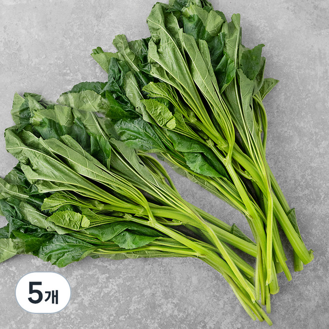국내산 아욱, 300g, 5개