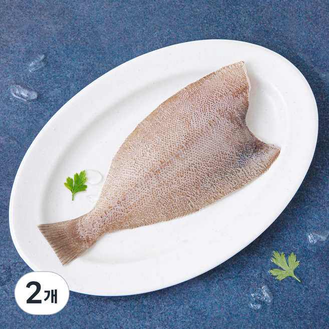 산지직송 부산 13번 중매인 생물 손질 참가자미 (냉장), 2개, 280g