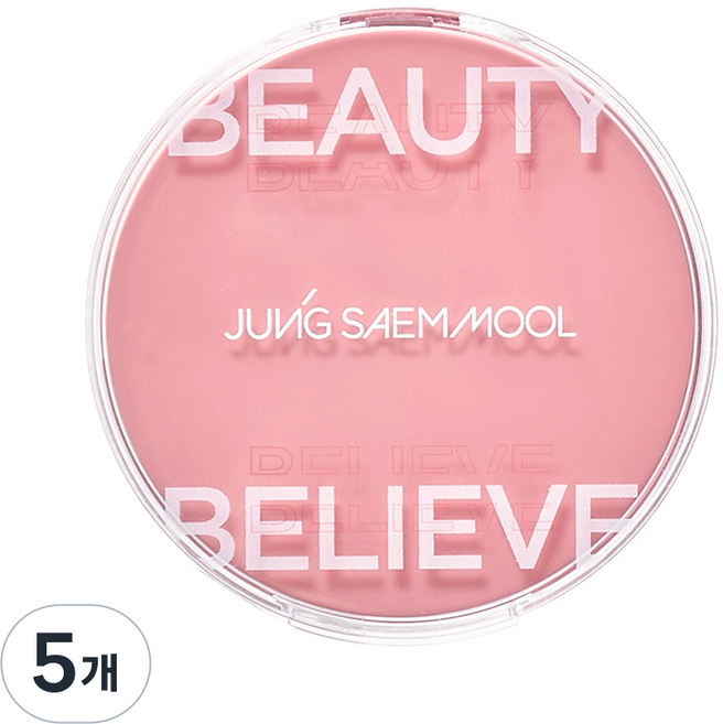 정샘물 아티스트 쿠션 블러쉬, 5개, 레어 로즈