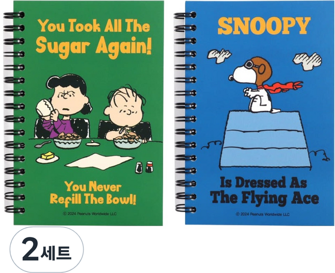 애즈잇띵크 피너츠 좌철수첩L 2종 세트, 그린 + 블루, 2세트