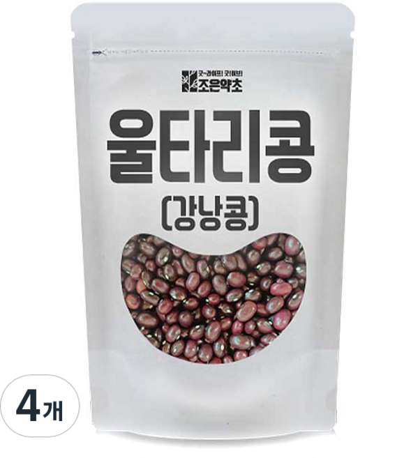 조은약초 울타리 강낭콩, 4개, 500g