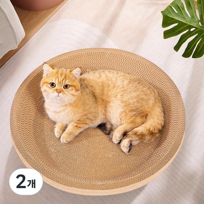 코멧 고양이 원형 스크래쳐 53cm, 우드, 2개