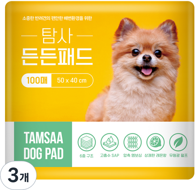 탐사 고흡수 든든패드 레몬향, 100개입, 3개