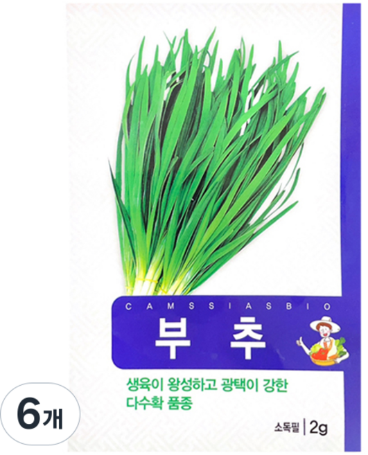 참씨앗 부추 씨앗, 6개