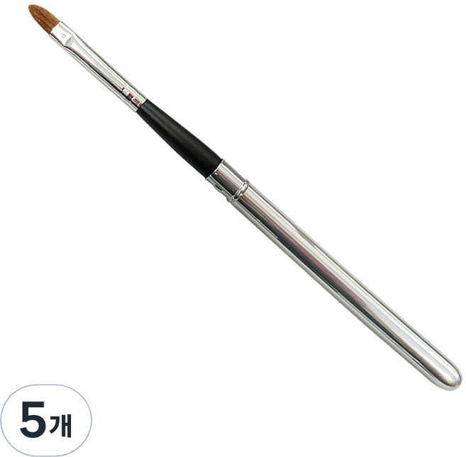 레쥬베라 휴대용 립 브러쉬, 혼합 색상, 5개